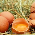 Sanovnik jaja – Šta znači sanjati jaja?