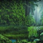 Sanovnik šuma – Šta znači sanjati šumu?