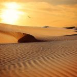Sanovnik pesak – Šta znači sanjati pesak?