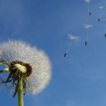 Sanovnik vetar – Šta znači sanjati vetar?